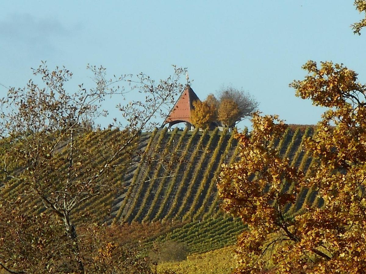 Pension Zur Traube 3 Sterne Oberschwarzach Exterior photo